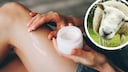 Collage of a woman applying lotion to her legs and a sheep (circle)