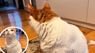 Remo Shows Off Garlic Clove Fur
