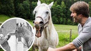 Horse and Man