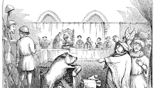 A Pig Stands Trial in an Animal Court