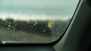 Car Windshield Covered in Yellow Spots