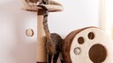 Two cats on the scratching post. One is looking at the other's tail.