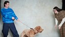 Man Holds Dog as Woman Coaxes