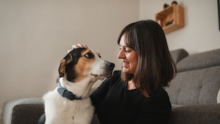 Dog Looks at Woman