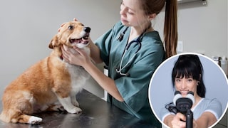 "I don't want him to suffer"—this is likely one of the most common phrases veterinarians hear in their practice. In an interview with PETBOOK, veterinarian Dr. Debbie explains why this statement often leads to a dilemma.