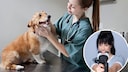 "I don't want him to suffer"—this is likely one of the most common phrases veterinarians hear in their practice. In an interview with PETBOOK, veterinarian Dr. Debbie explains why this statement often leads to a dilemma.