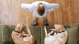 Woman stands in front of couch where two dogs are lying