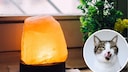 Salt lamps can be dangerous for pets—especially if dogs or cats lick them.