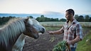 Even seemingly harmless foods can be dangerous for horses and ponies—unauthorized feeding can, in the worst case, be fatal.