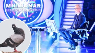 "Rats of the sky"? Günther Jauch's comments on pigeons in the April 13, 2026, broadcast spark debate