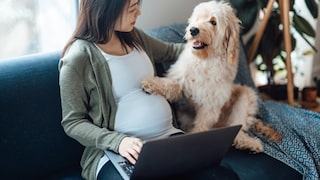 Pregnant Woman with Dog on the Sofa