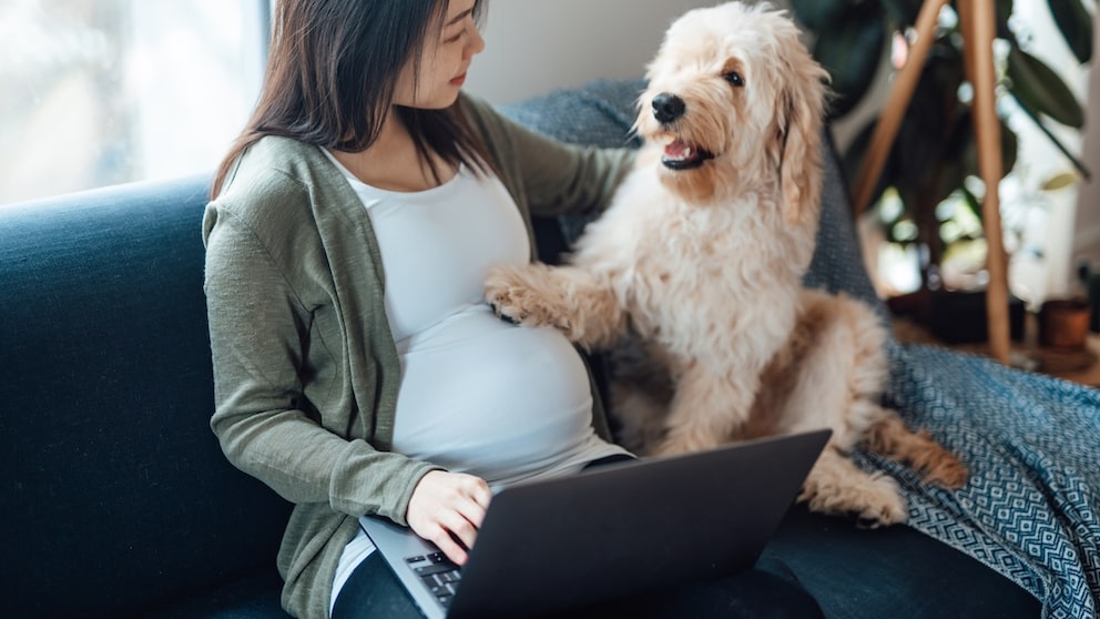 Pregnant Woman with Dog on the Sofa