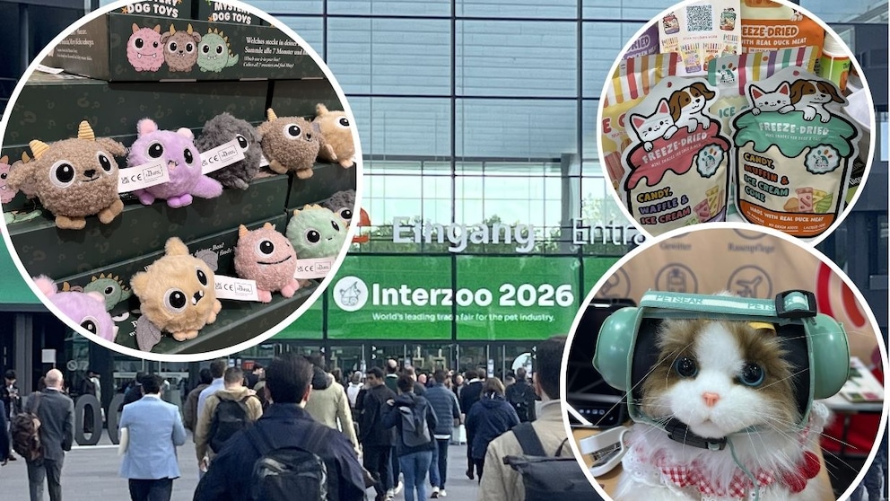 Collage for Interzoo 2026