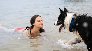 Woman in the water, dog approaches her already wet.