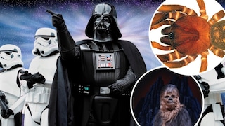 Edited Compilation: Background of Darth Vader with stormtroopers, Chewbacca, and a stormtrooper spider inserted