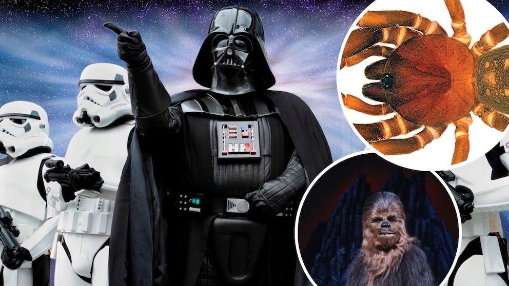 Edited Compilation: Background of Darth Vader with stormtroopers, Chewbacca, and a stormtrooper spider inserted