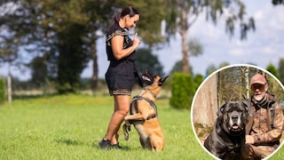A woman trains with her dog in a meadow.