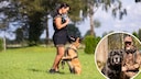 A woman trains with her dog in a meadow.
