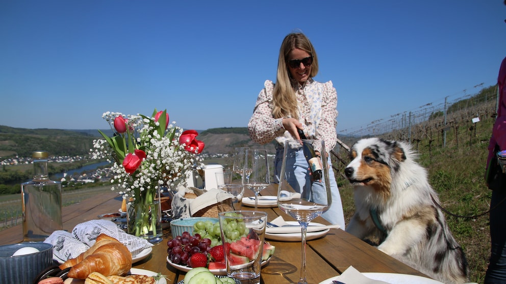 An Australian Shepherd sits at a set table outdoors.