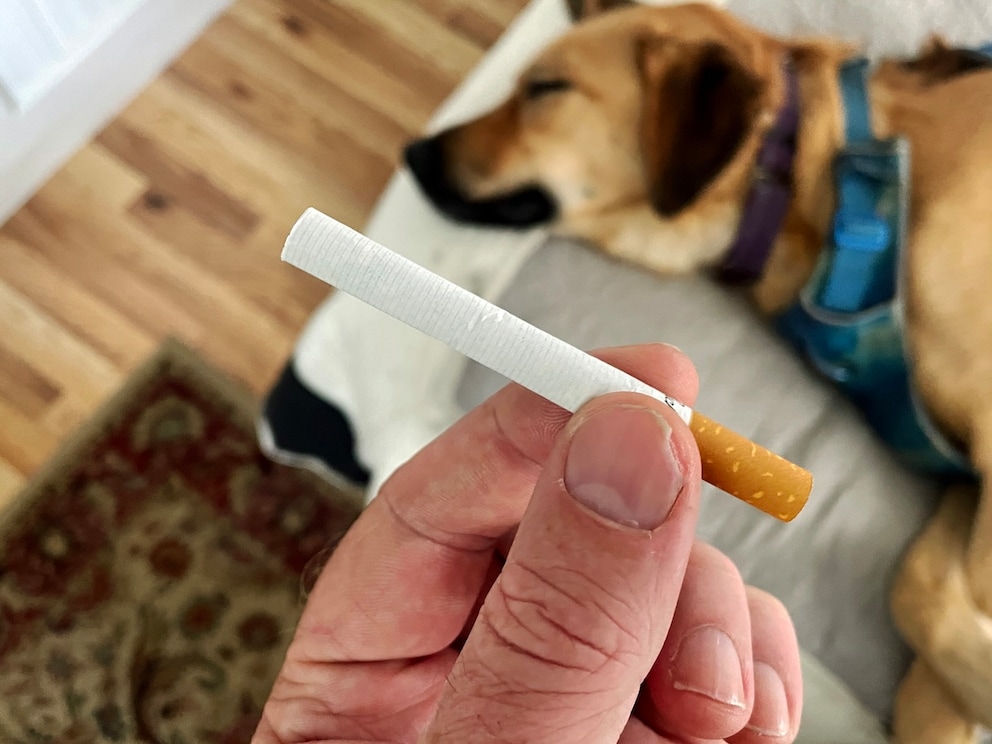 dogs and cigarette smoke Secondhand Smoke and Pets: The Silent Threat to Dogs and Cats