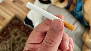 A person holds a cigarette in their hand. In the background, a dog lies on the floor.