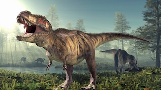 Depiction of the Dinosaur Tyrannosaurus Rex