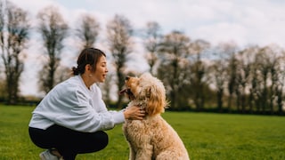 Woman Sitting or Kneeling with Dog on Meadow