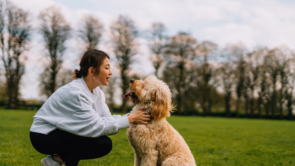 Woman Sitting or Kneeling with Dog on Meadow