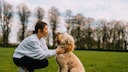 Woman Sitting or Kneeling with Dog on Meadow