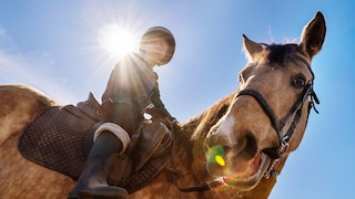 Child Sits on Horseback