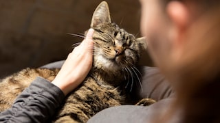 Woman with Her Cat