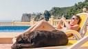 Dog Lies on a Lounge Chair by the Pool