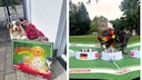PETBOOK World Cup Oracle 2026