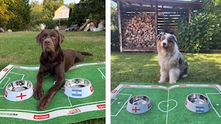 Hector and Elvis Predict the Second World Cup Semifinal