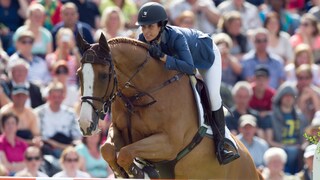 Palloubet d'Halong Show Jumping Horse with Janika Sprunger