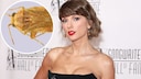 Taylor Swift Inspires Name for New Insect Species