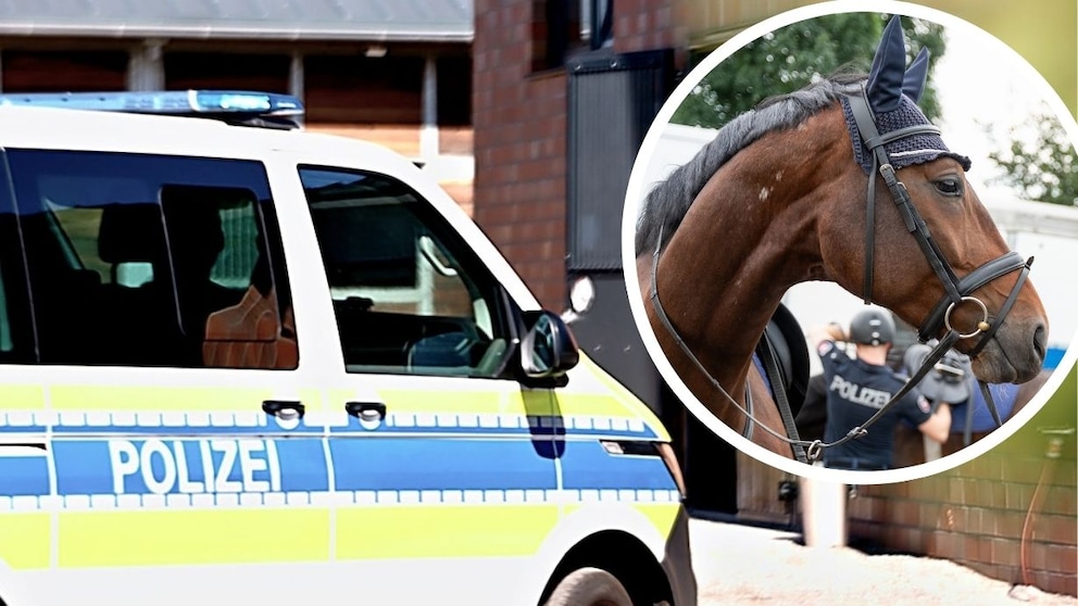 Police Horse Rabauke