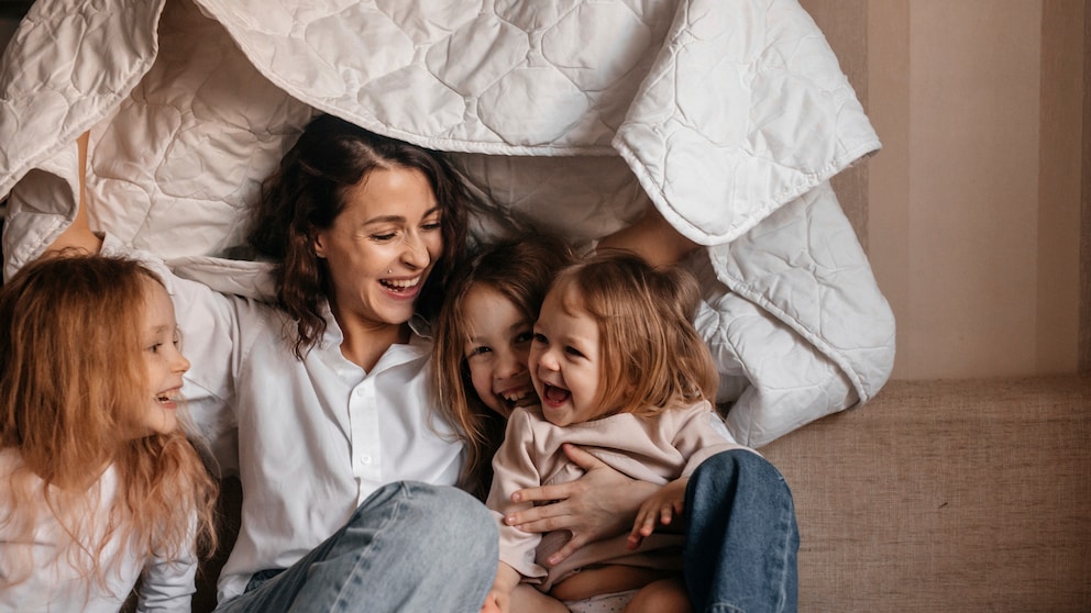 Nest Model
