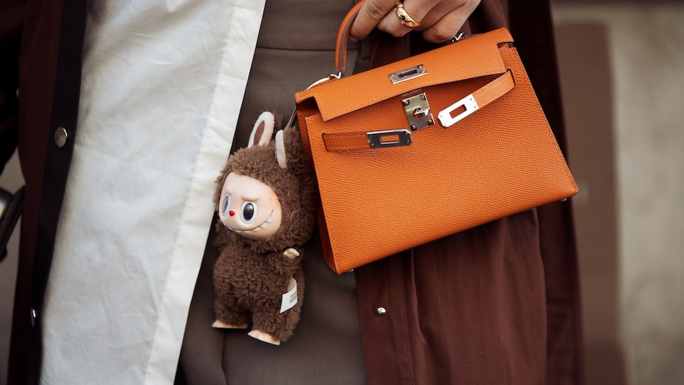 Labubu on the Bag