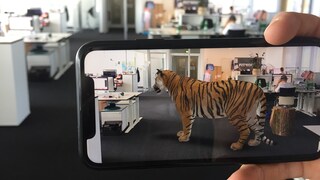 A Tiger in the Room