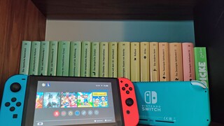 Nintendo Switch vs. Switch Lite
