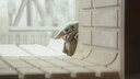 Star Wars Series on Disney+: Grogu, also known as "Baby Yoda," from The Mandalorian