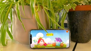 Mobile Game Zeedz Start Screen on Smartphone