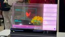 Lenovo's Transparent Display Laptop Concept at MWC 2024