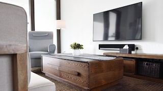 TV in the Living Room Mounted on the Wall
