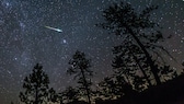 Perseids in the Cleveland National Forest, USA