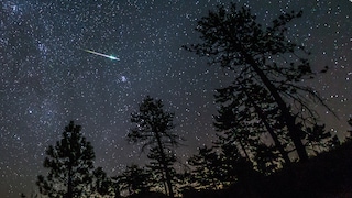 Perseids in the Cleveland National Forest, USA