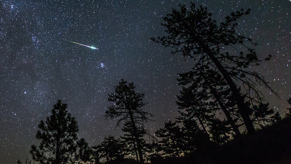 Perseids in the Cleveland National Forest, USA