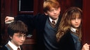 A dream of many fans comes true: "Harry Potter" is coming as a series