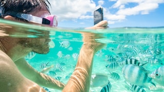 Modern smartphones can take photos underwater, but there are a few things to keep in mind.